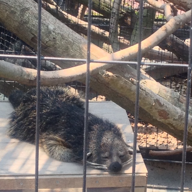 rblog-20130504200010-02.jpg