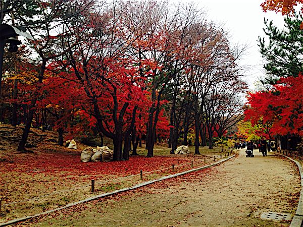 rblog-20151115183533-02.jpg