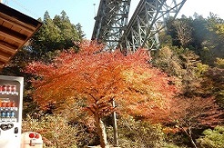 荒川キャンプ場