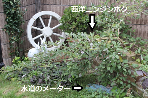 2014_0910_121658-IMG_7863.JPG