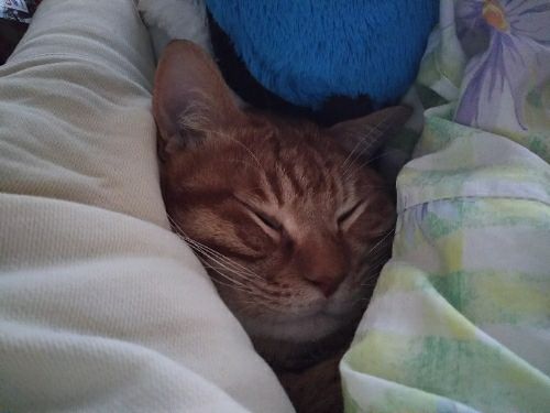 rblog-20180224203857-01.jpg