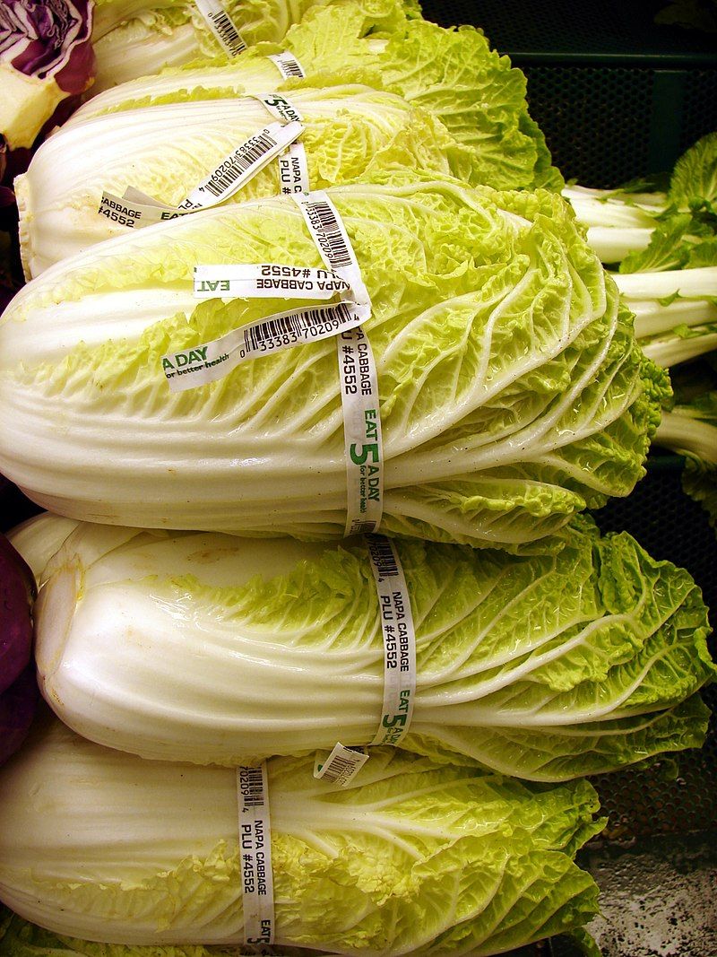 9月の野菜 薬剤師stephenのよろずブログ 楽天ブログ
