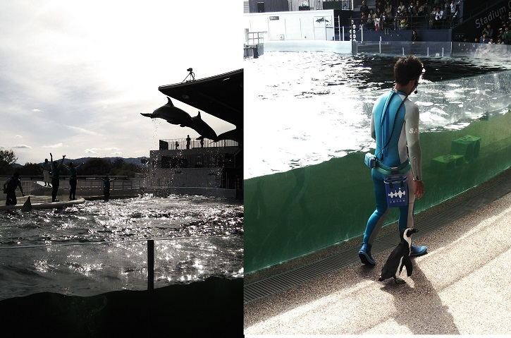 京都水族館