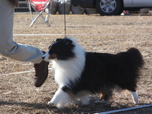 IMG_0427 - コピー.JPG