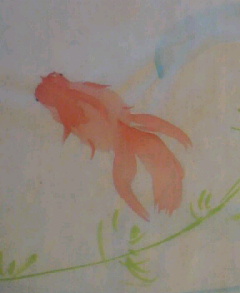 金魚
