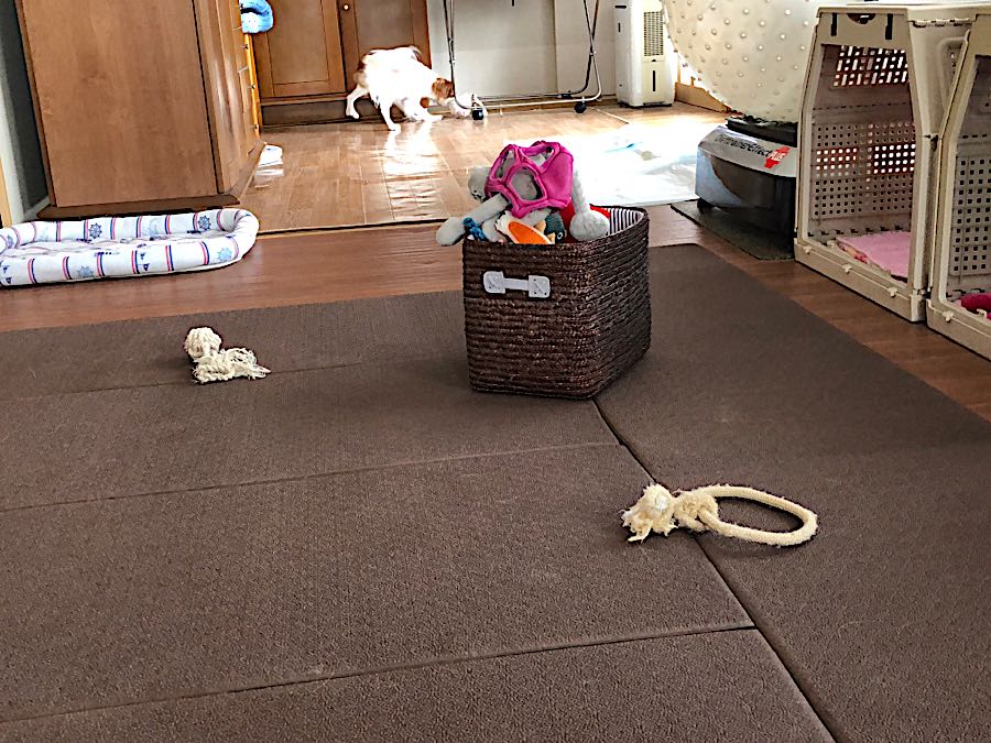 rblog-20181016090214-04.jpg