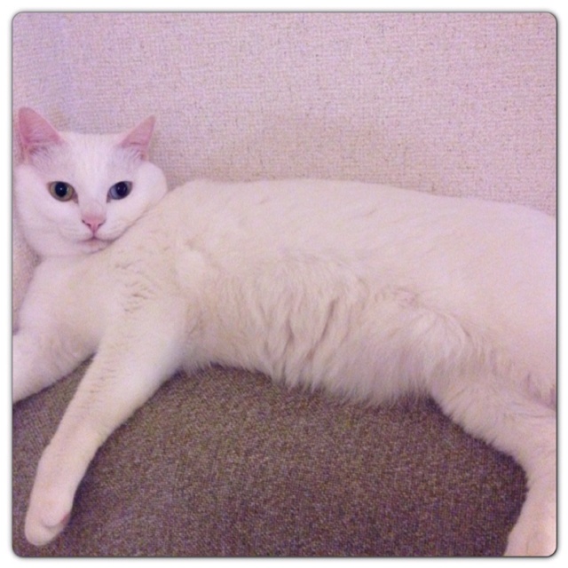 rblog-20130526020851-01.jpg