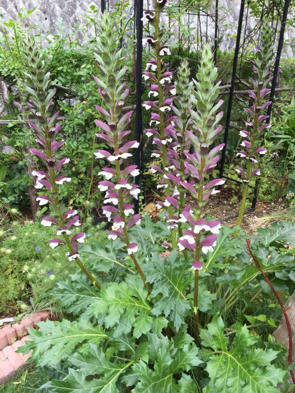 rblog-20160605210832-03.jpg