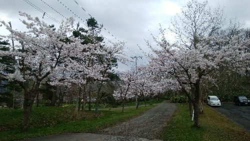 rblog-20180505085825-00.jpg