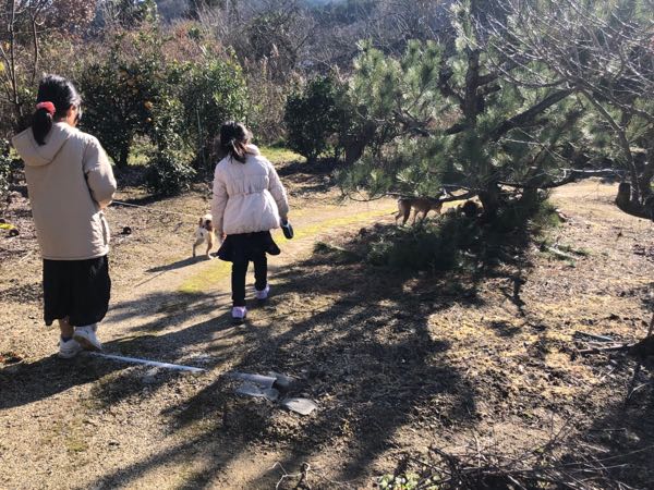 rblog-20190102144530-03.jpg