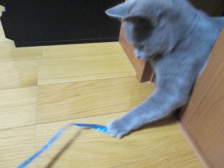 つぎはあそびます.JPG