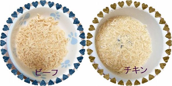 ワンコラーメンB