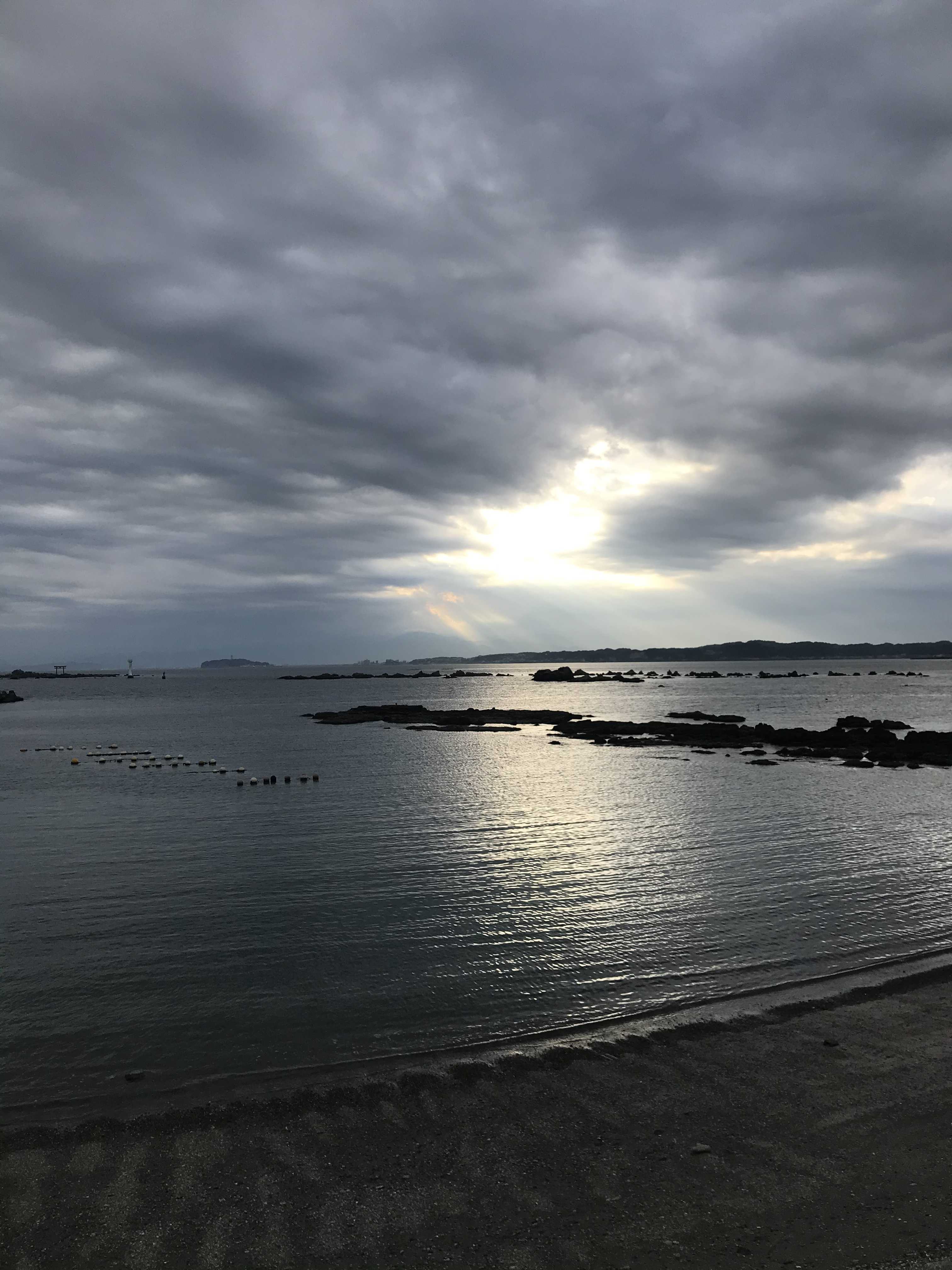 アラフィフ婚活女子のハッピーライフ