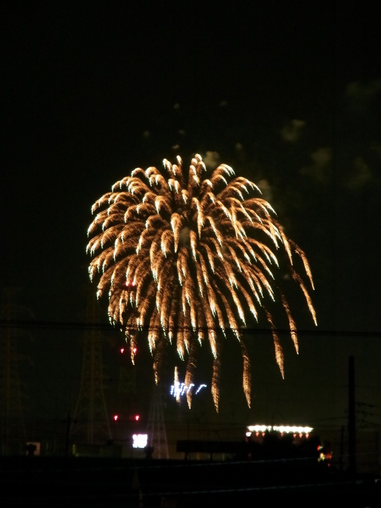 RIMG0153 (1000x750).jpg