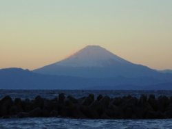 11月27日夕焼け富士.jpg
