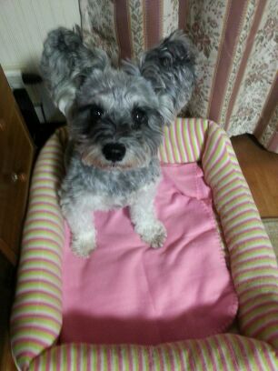 rblog-20150110234021-00.jpg