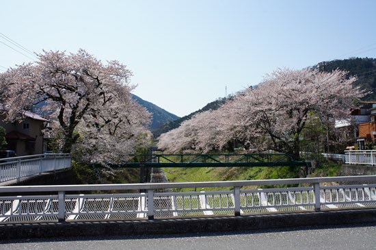 2014-0421-08.jpg