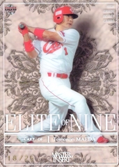 15 BBM masterofinsert EL11