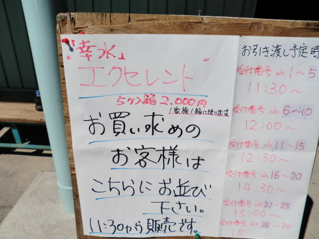 CIMG0510.JPG