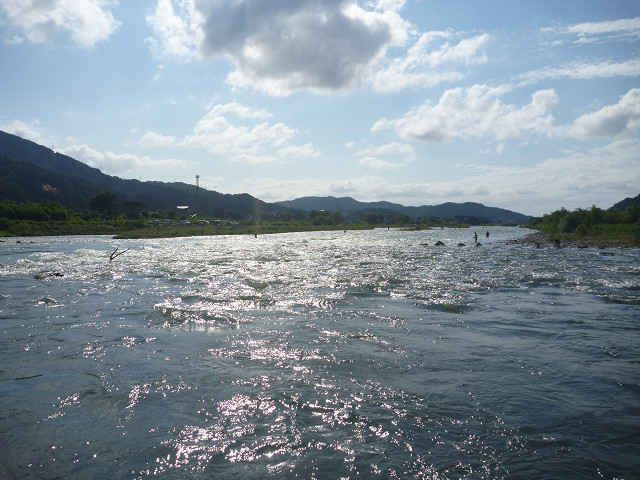 resize0007.jpg