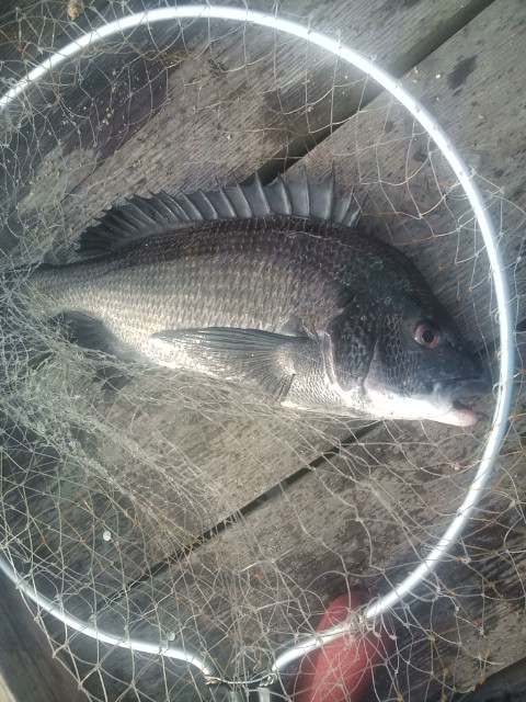 20120818072222.jpg
