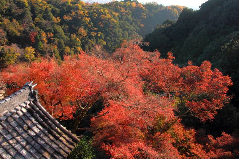 千光寺_008.jpg