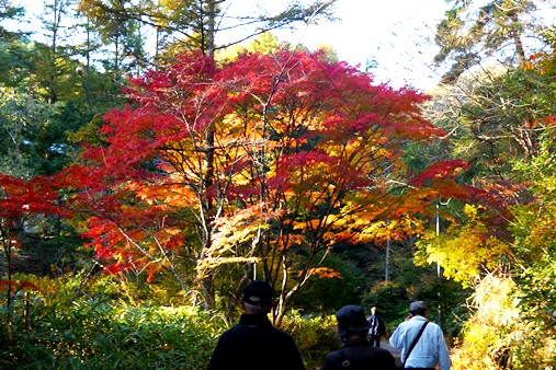 P1110380.jpg