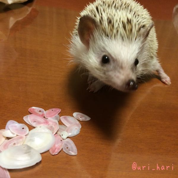 rblog-20151025214120-01.jpg