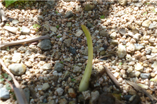 P1020561.png