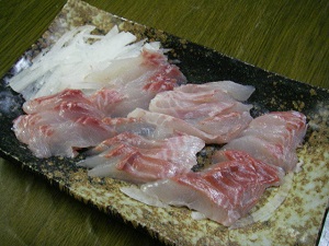 日本海のヒコヤ グレ メジナ の刺身は 甘くてぷりぷりで旨いで Blue Marine と 海で遊ぼう 楽天ブログ