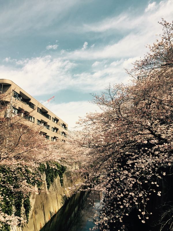 rblog-20170405083151-02.jpg