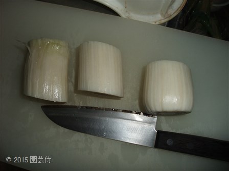 下仁田ネギ　20150103-2