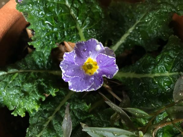 rblog-20180429183115-00.jpg