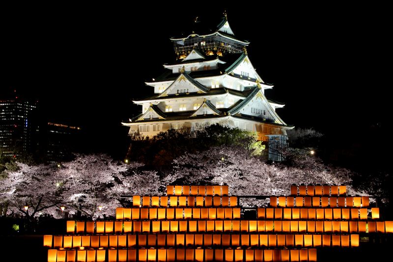 大阪城西の丸庭園夜桜_6-3.jpg