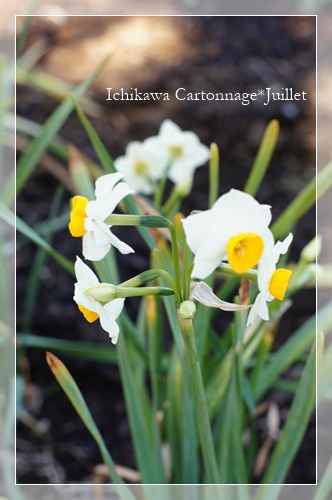 DSC09076 - コピー.JPG