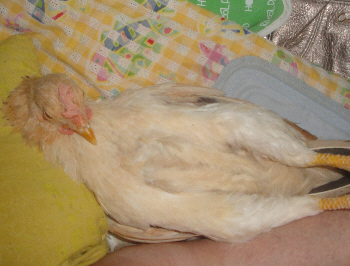 2012/09/21(3)