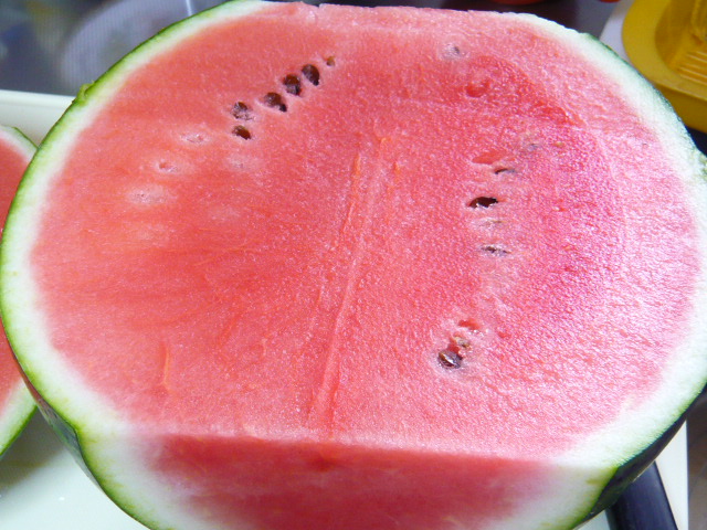 P1050085.JPG