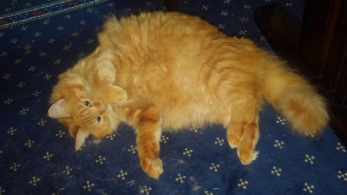 rblog-20181007090624-04.jpg