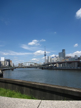 IMG_8730.JPG