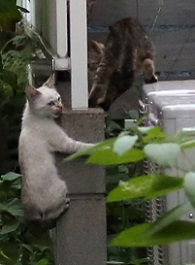 5DA_0814-22.jpg