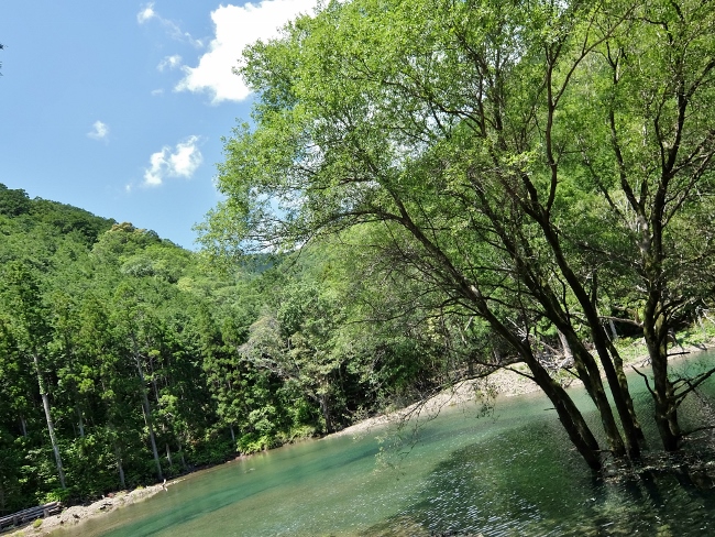 熊野古道　富田坂　湖　滝　世界遺産