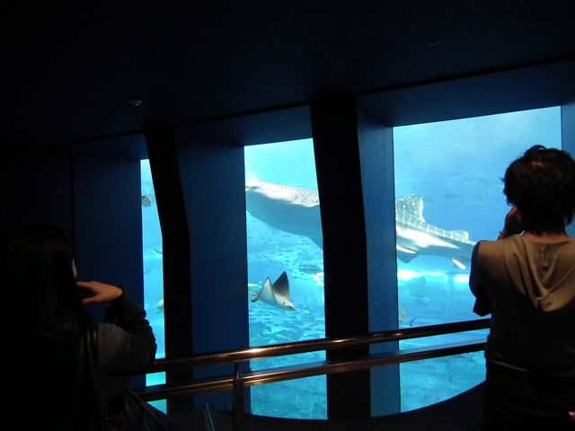 DSCF9201.JPG
