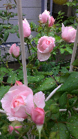 rblog-20130616155045-01.png