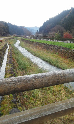 朝倉氏遺跡4