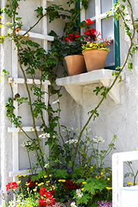 ピーターラビットのお庭