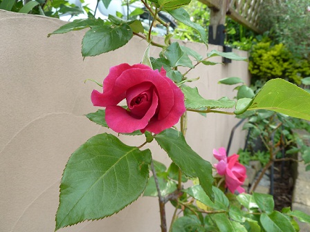 2012.5.20 016.JPG