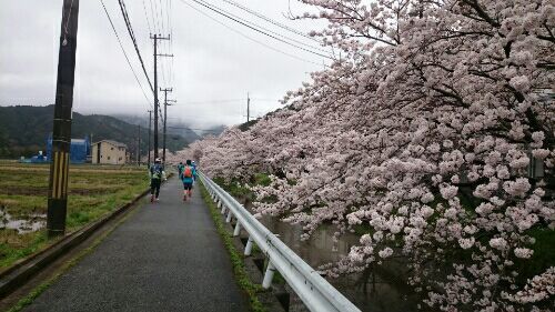 rblog-20170409185141-02.jpg
