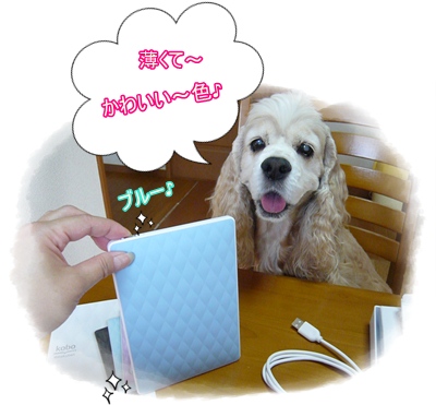 kobo Touch ブルー.JPG