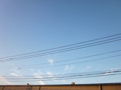 IMG_4033.JPG