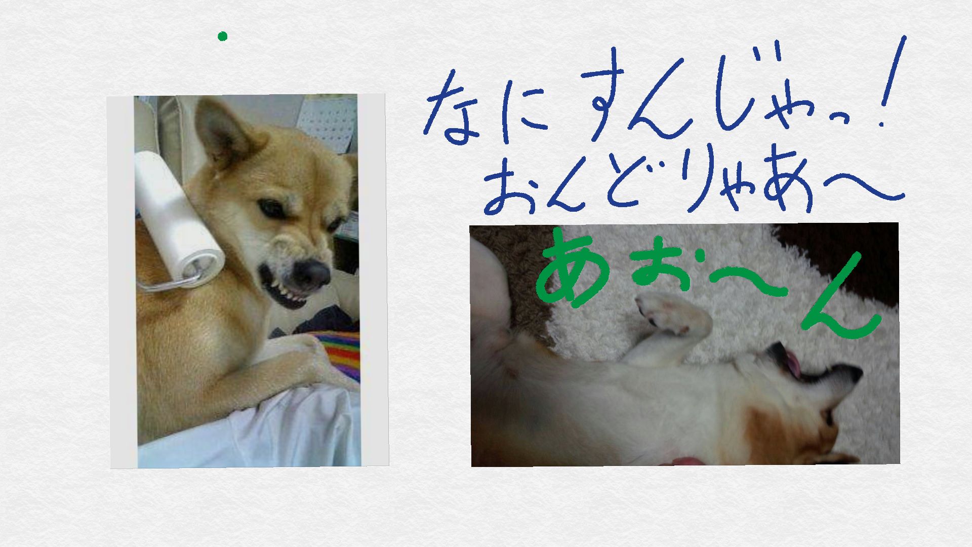 なんじゃっ.jpg